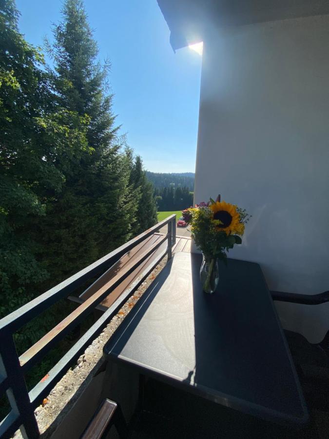 Dreisessel Dreilaendereck Pool Sauna Neureichenau Exterior foto