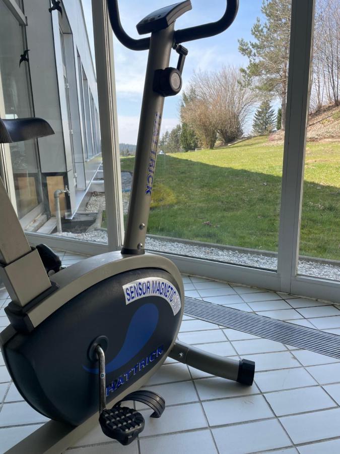 Dreisessel Dreilaendereck Pool Sauna Neureichenau Exterior foto